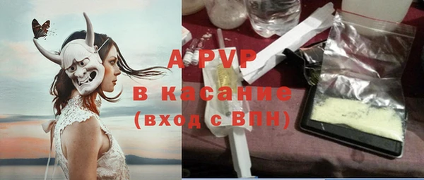 стафф Аркадак