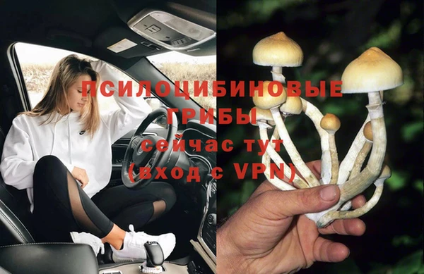 гидропоника Алексеевка