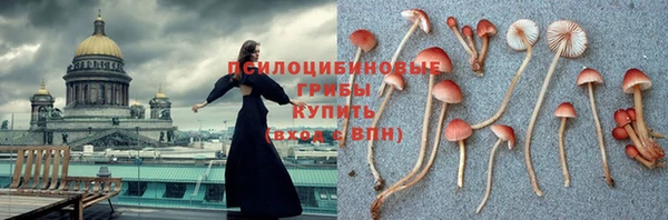 дурь Армянск