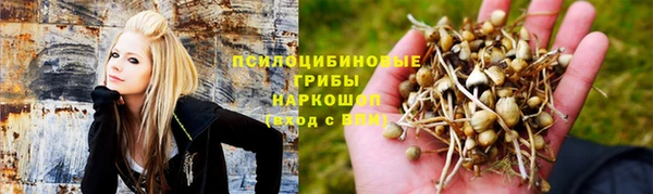 эйфоретик Алексин