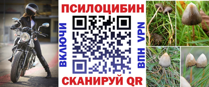 Галлюциногенные грибы мухоморы  где купить   Спас-Деменск 